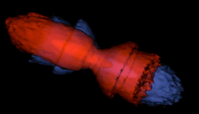 Tevatron collision modeled in BeamBeam3D